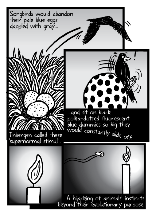 supernormal-9